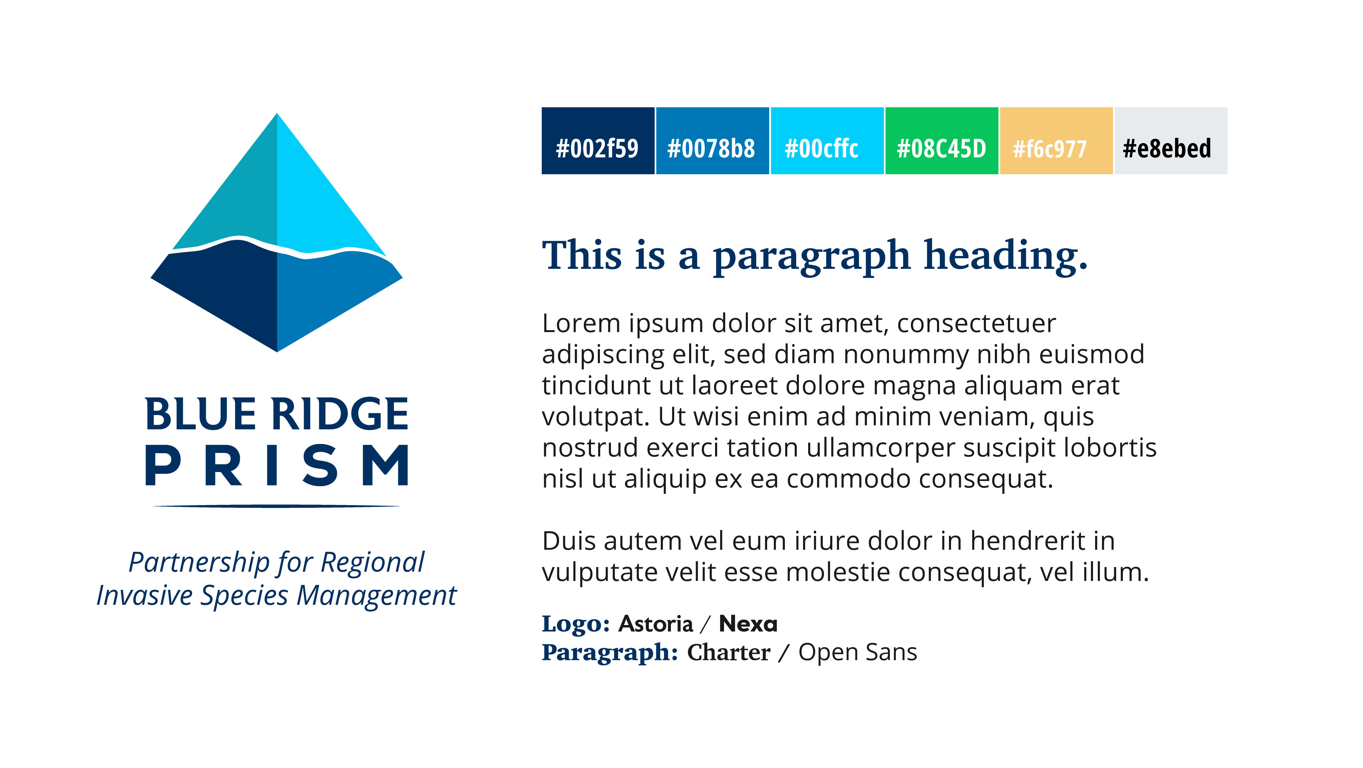 Nonprofit Corporate Rebrand